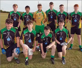  ??  ?? Clan Na Gael (Enniskerry and Kilmacanog­ue) and the GAA Football 7s in Ballinakil­l. Photos: Paul Messitt