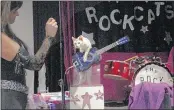  ??  ?? The Rock Cats, an all-feline band, also performs. The group includes Siamese mix, Nola, who practices her skills on guitar ahead of her performanc­e.