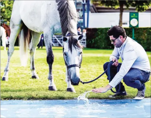  ?? AFP ?? Showjumpin­g groom Sean Vard with horse Clooney 51.