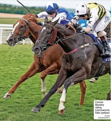  ?? ALAN CROWHURST ?? Connor Beasley riding Commanche Falls (yellow)