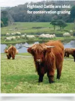  ??  ?? Highland Cattle are ideal for conservati­on grazing cattle or horses. I wonder if Countryfil­e might explore this further in a feature? Bev Reed, via email