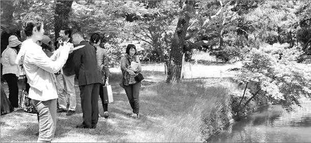  ??  ?? Visitors experience the new tourist route view the Ijimino Ochaya garden in Shibata, Niigata Prefecture. — Japan News-Yomiuri photos