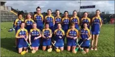  ??  ?? The Wicklow camogie team who played Roscommon in the first ever camogie game in Dr Hyde Park last weekend.