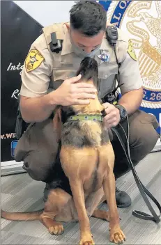  ?? ALICIA FABBRE/DAILY SOUTHTOWN ?? Will County Sheriff Deputy Martin Stortz will work with the department’s latest canine, a bloodhound named Liz.