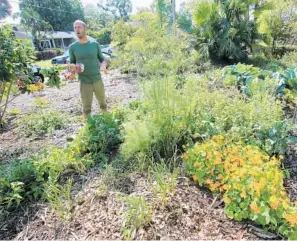  ?? JOE BURBANK/ORLANDO SENTINEL ?? Orlando activist and community gardener Rob Greenfield, in his garden, talks about his one-year project to eat only what he can grow at his Audubon Park home, or harvest elsewhere in Central Florida.