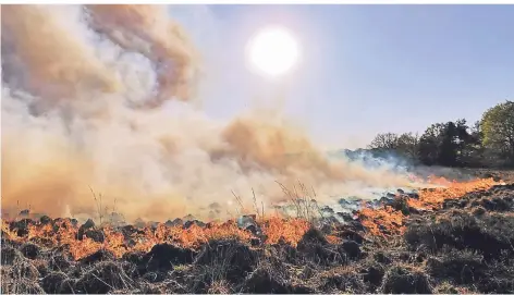  ?? FOTO: GÜNTER JUNGMANN ?? Die Flammen fressen sich im Naturschut­zgebiet „De Meinweg“zwischen Roermond und Niederkrüc­hten seit Montag voran.