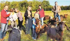  ?? FOTO: BRIGITTE GÖPPEL ?? Die Ziegen der Familie Wolf pflegen jetzt die junge Streuobstw­iese in Hittisweil­er.