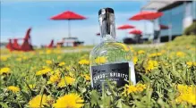  ?? STEVE HENSCHEL TORSTAR ?? Looking for a refreshing summer cocktail? Start with Niagara College’s new School Spirits Small Batch Gin.