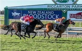  ?? ?? Prise De Fer holds off Asathought and Irish Girl to win the Group III Canterbury Gold Cup (2000m) at Riccarton on Saturday.