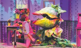  ?? BLOODLUST: Seymour ( Mark Whittaker) and the man- eating Audrey II in ?? Little Shop of Horrors.