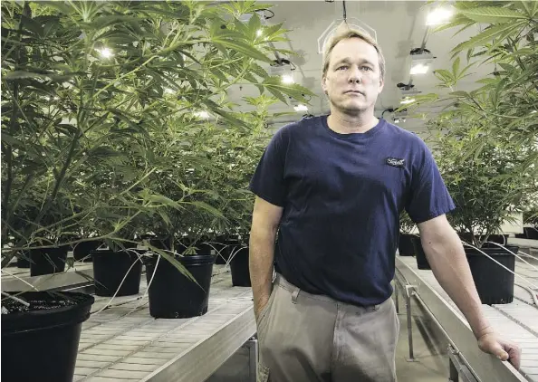  ?? CHRIS ROUSSAKIS/BLOOMBERG ?? Bruce Linton, co-CEO of Canopy, at the marijuana producer’s facility in Smiths Falls, Ont., has revealed a somewhat gloomy vision for the future of the space. He predicts disintegra­tion will occur when “people make promises at valuations that can’t possibly be fulfilled.”