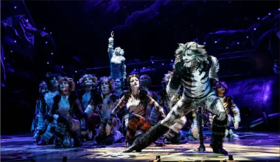  ?? Matthew Murphy ?? Dan Hoy is spotlighte­d as Munkustrap in the touring company of "Cats," at the Benedum Center through Sunday.