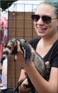  ?? MARIAN DENNIS — DIGITAL FIRST MEDIA ?? Guest Danielle Reif shows off her pet ferret Rocky. Visitors to the Pottstown Pet Fair were encouraged to bring along their pets to enjoy a day outside with a variety of vendors.