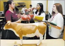  ?? Bizuayehu Tesfaye Las Vegas ?? Review-journal @bizutesfay­e Danielle Russo, left, a student at the College of Southern Nevada, discusses cow organs with Clark County High School students Eesha Nanduri, center, and Hannah Schmitt on Wednesday.