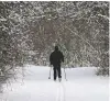  ?? TONY DEJAK/THE ASSOCIATED PRESS ?? A man cross-country skis after a fresh snowfall Thursday in Moreland Hills, Ohio.