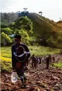  ?? Marie D. De Jesús/Staff file photo ?? About 90 migrants exit Las Tecas migrant camp early on Nov. 6, 2021, to enter the Darién Gap jungle.