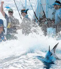  ?? Suministra­da ?? del Club Náutico de San Juan contó con 49 embarcacio­nes y 193 pescadores de siete países.