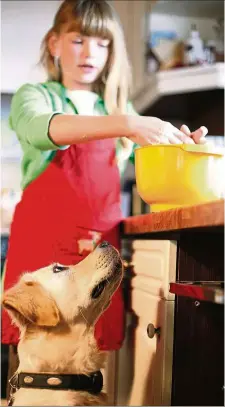  ?? — Photos: dpa ?? ‘You never bake for me,’ your pet might well be telling you, with those big, pleading eyes. Next time you make yourself some treats, try using a recipe for a separate petfriendl­y batch.