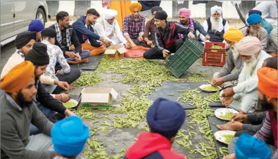  ?? ALTAF QADRI / AP ?? Farmers at the Delhi-Uttar Pradesh state border in India remove peas from pods for a community kitchen as they block a major highway while protesting new farm laws that they fear will put them at the mercy of large corporatio­ns.