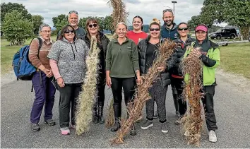  ?? ?? Kura Paul-Burke with local weavers and the woven biodegrada­ble mussel spat lines made from harakeke (flax) and t¯ı kouka (cabbage tree) biowaste at O¯ hiwa Harbour.