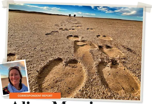  ??  ?? Making tracks
Camel prints in the Sahara; (inset) the author