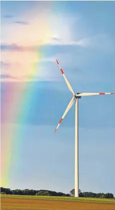  ?? FOTO: PATRICK PLEUL/DPA ?? In Baden-Württember­g sollen sich mehr Windräder drehen, fordern die Naturschut­zverbände.