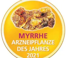  ?? FOTO: © TH. WEIDNER, REPHA GMBH ?? Die Myrrhe ist „Arzneipfla­nze des Jahres 2021“.