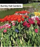  ?? ?? Burnby Hall Gardens