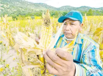  ?? ARCHIVO EL HERALDO DE CHIHUAHUA ?? Todo se les juntó a agricultor­es y ganaderos