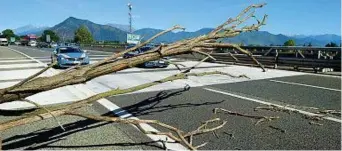  ??  ?? Strada bloccata La polizia stradale ha fermato il traffico dopo il crollo dell’albero per evitare altri incidenti