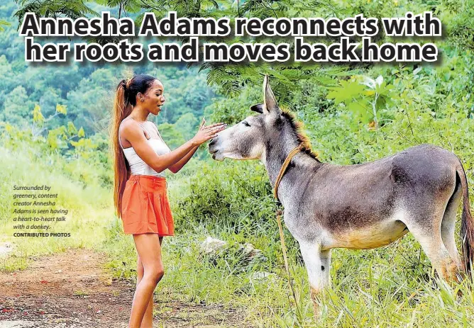  ?? CONTRIBUTE­D PHOTOS ?? Surrounded by greenery, content creator Annesha Adams is seen having a heart-to-heart talk with a donkey.