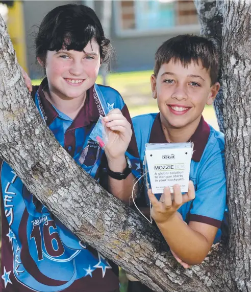  ?? Picture: STEWART McLEAN ?? PUTTING BITE ON: Bentley Park College students Regan Cooper-Swain, 11, and Ruben Klaassen, 12, get ready to grow their own diseasefig­hting mozzies with an Eliminate Dengue Wolbachia Warriors kit.