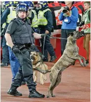  ??  ?? Security: Police dogs deployed at the game