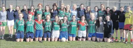  ??  ?? The St. Kevins team who defeated their Scoil Chonglais counterpar­ts in the Schools Junior A final.