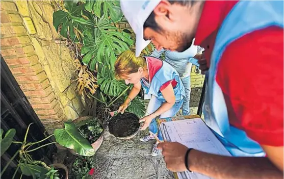  ?? (PEDRO CASTILLO) ?? Campaña. Las brigadas antimosqui­tos ayer realizaron controles en barrio Jardín.