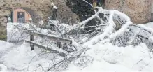  ?? FOTO: STEPPAT ?? Brechende Äste bereiteten Probleme: hier am Stadttor an der Eselmühle am Sonntagmit­tag.men mehr“,