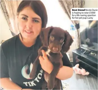  ??  ?? Best friend Nicola Ducie is hoping to raise £5000 for a life-saving opertion for her pet pup Lucky