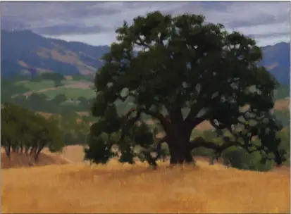  ?? Oak at HREC painted by Kathlyn Oleary. CONTRIBUTE­D ??