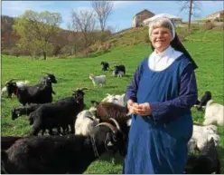  ?? PAUL POST — PPOST@ DIGITALFIR­ST MEDIA.COM ?? Sister Mary Elizabeth Garrett manages the herd of cashmere goats at Christ the King Spiritual Life Center in Greenwich, one of 11 stops on this weekend’s Washington County Fiber Tour.