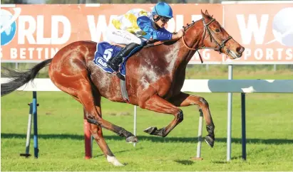  ?? Picture: Wayne Marks ?? DISTANCE. Dean Street will be ridden by S’manga Khumalo in Race 6 at Kenilworth tomorrow, a Middle Stakes, and will be trying 1400m for the first time.
