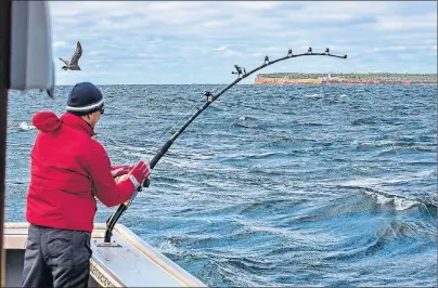  ?? BERNI WOOD REEL MEDIA STUDIO/SUBMITTED PHOTO ?? Organizers hope to attract 15 to 18 teams to the 44th edition of the Canada Internatio­nal Tuna Cup Challenge running Sept. 8-11 in North Lake.
