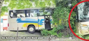  ??  ?? Der Reisebus krachte mit voller Wucht gegen einen Baum.