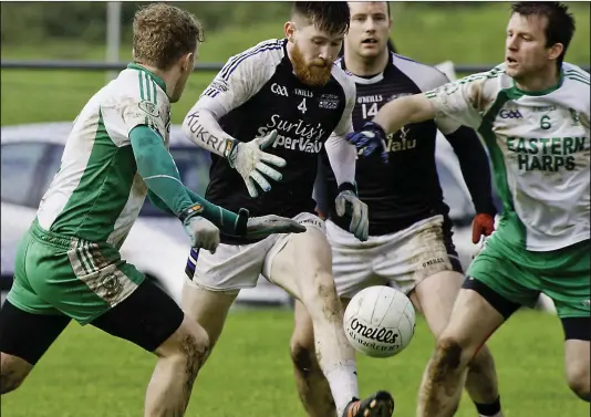  ?? Pics: Tom Callanan. ?? Cathal Surlis and Dermot Walsh are confronted by Kevin Cryan at Bunninadde­n last Sunday.