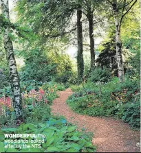  ??  ?? WONDERFULT­HE woodlands looked after by the NTS