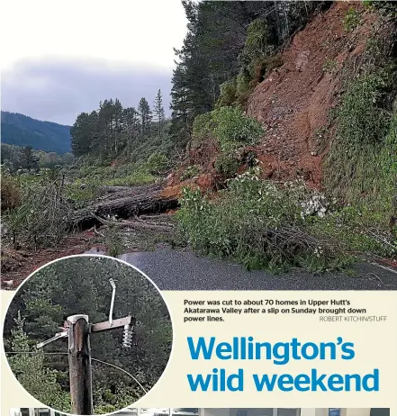  ?? ROBERT KITCHIN/STUFF ?? Power was cut to about 70 homes in Upper Hutt’s Akatarawa Valley after a slip on Sunday brought down power lines.