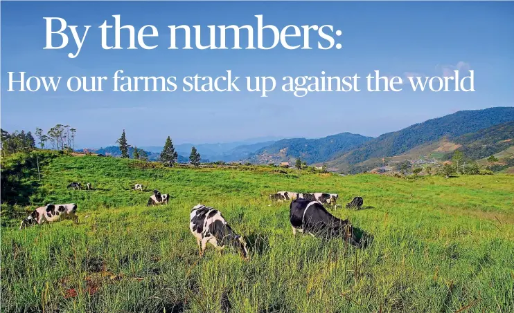  ?? ?? Stats NZ says there are about 50,000 farms in New Zealand covering about 13.6m hectares. By comparison, the US has over 2m and France 730,000.