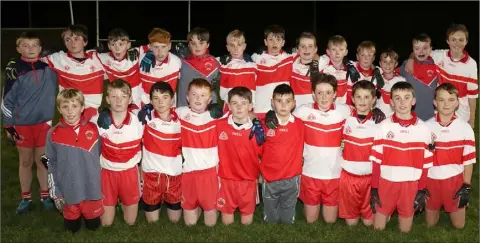  ??  ?? The Kilanerin squad prior to Wednesday’s thrilling final in St. Patrick’s Park.