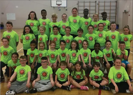  ??  ?? There was a great turnout of primary and secondary school children for the recent Sherman Hall All Star Basketball Camp in Drogheda, run by Sherman with assistance from Christian Sullivan, Tevin Thomas, Paul Akin and Samuel Cole. Pictured are some of...