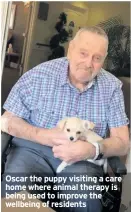  ??  ?? Oscar the puppy visiting a care home where animal therapy is being used to improve the wellbeing of residents