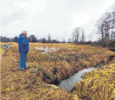  ?? FOTO: MICHAEL PANZRAM ?? Erhard Bolender betrachtet im Rotmoos, wo der Biber überall seine Spuren hinterlass­en hat. Der kleine Bach vor ihm führt zu einem Damm im Unterholz. Der Weg und die Wiese im Hintergrun­d sind durch das aufgestaut­e Wasser teilweise überspült.